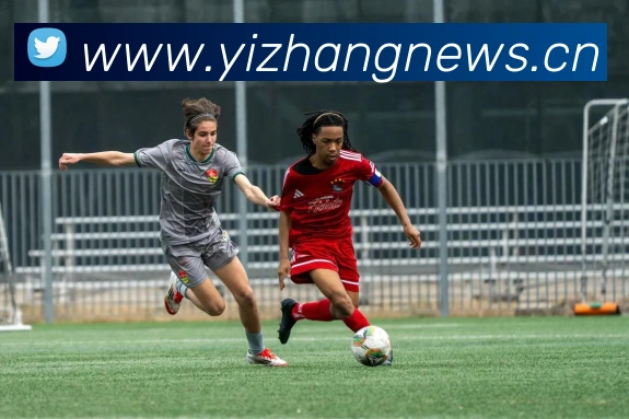 爱游戏ayx官网最新版发展历程